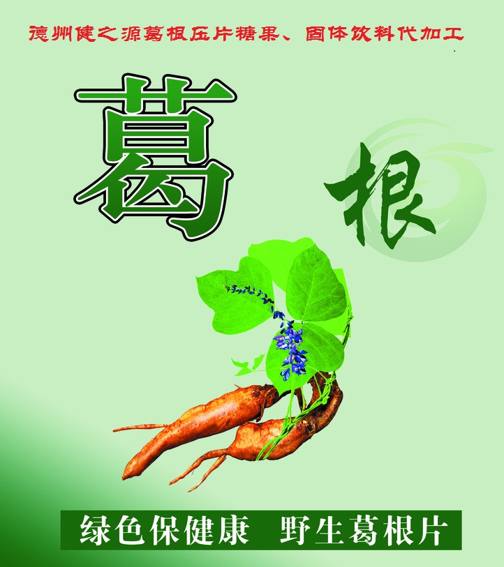 葛根，男女通用的人体调理专家