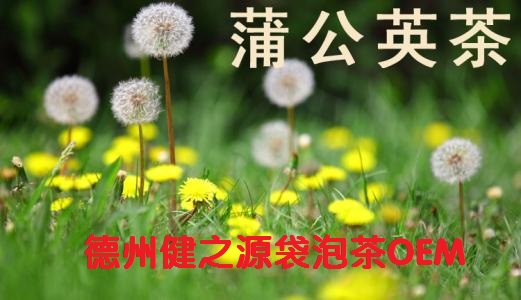 蒲公英茶，今天您喝了吗？