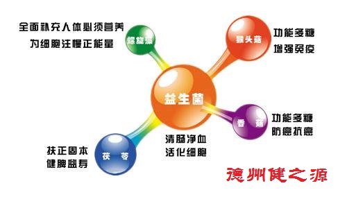 夏天肠胃问题频发，您应该用益生菌了