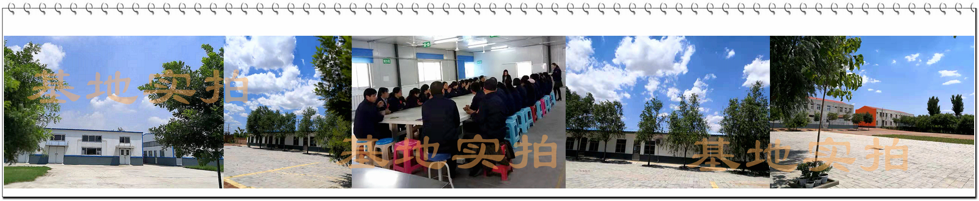 保健品代加工厂_山东蛹虫草压片糖果贴牌SC认证_德州健之源