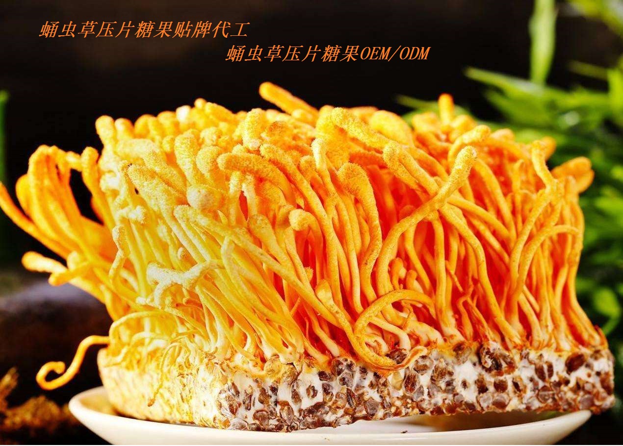 山东保健食品oem贴牌代加工厂-德州健之源