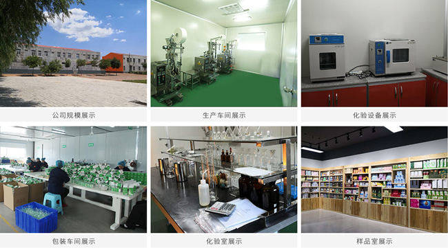代餐粉代加工厂家介绍-德州健之源